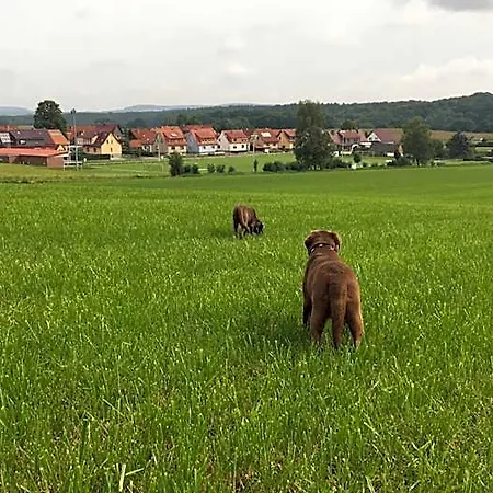 Ferienhaus: 