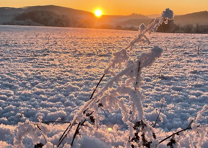 Orman Evi Ferienhaus: 